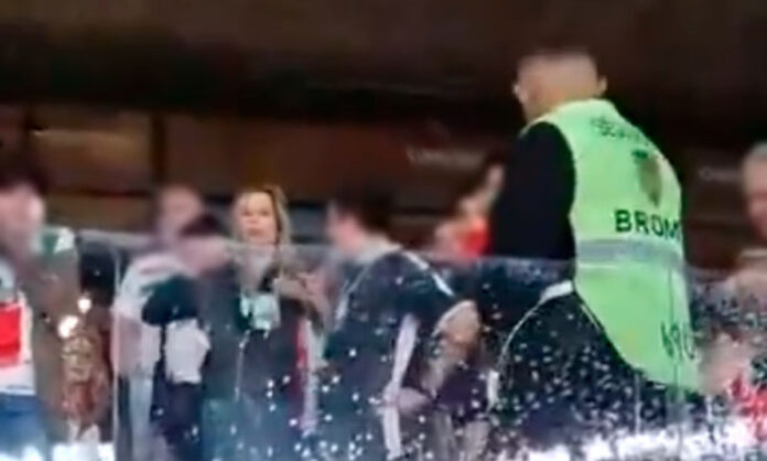 Mulher imitou macaco em direção à torcida do Cruzeiro