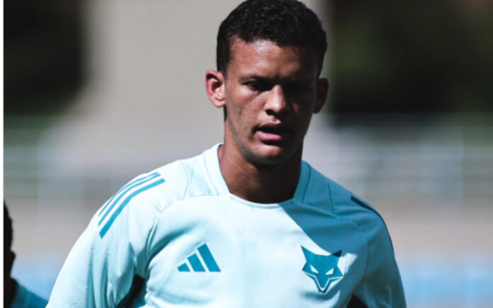 Janderson, zagueiro do Cruzeiro (Foto: Gustavo Aleixo/Cruzeiro)